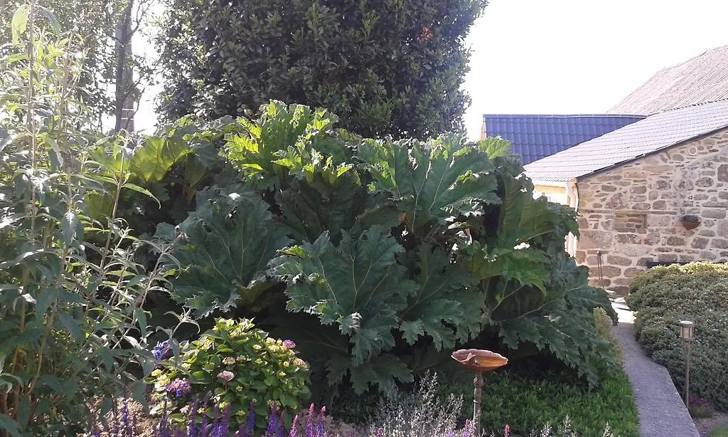 Bed & Breakfast Gite Ti-Maes Briec